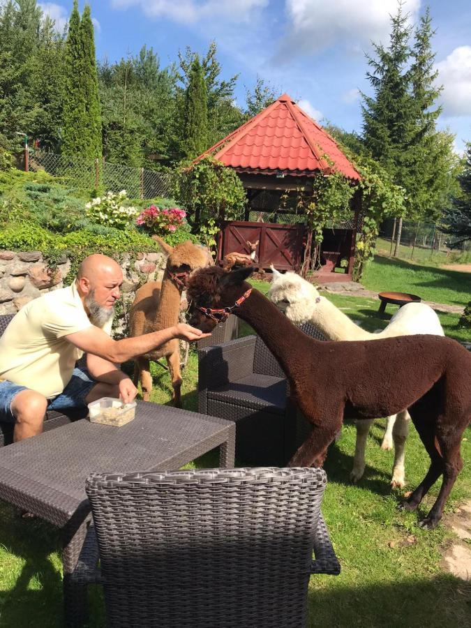 Z Alpakami Mazury